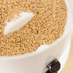 NutriMill Classic Grain Mill -Coffee & Espresso Elegant store classic2