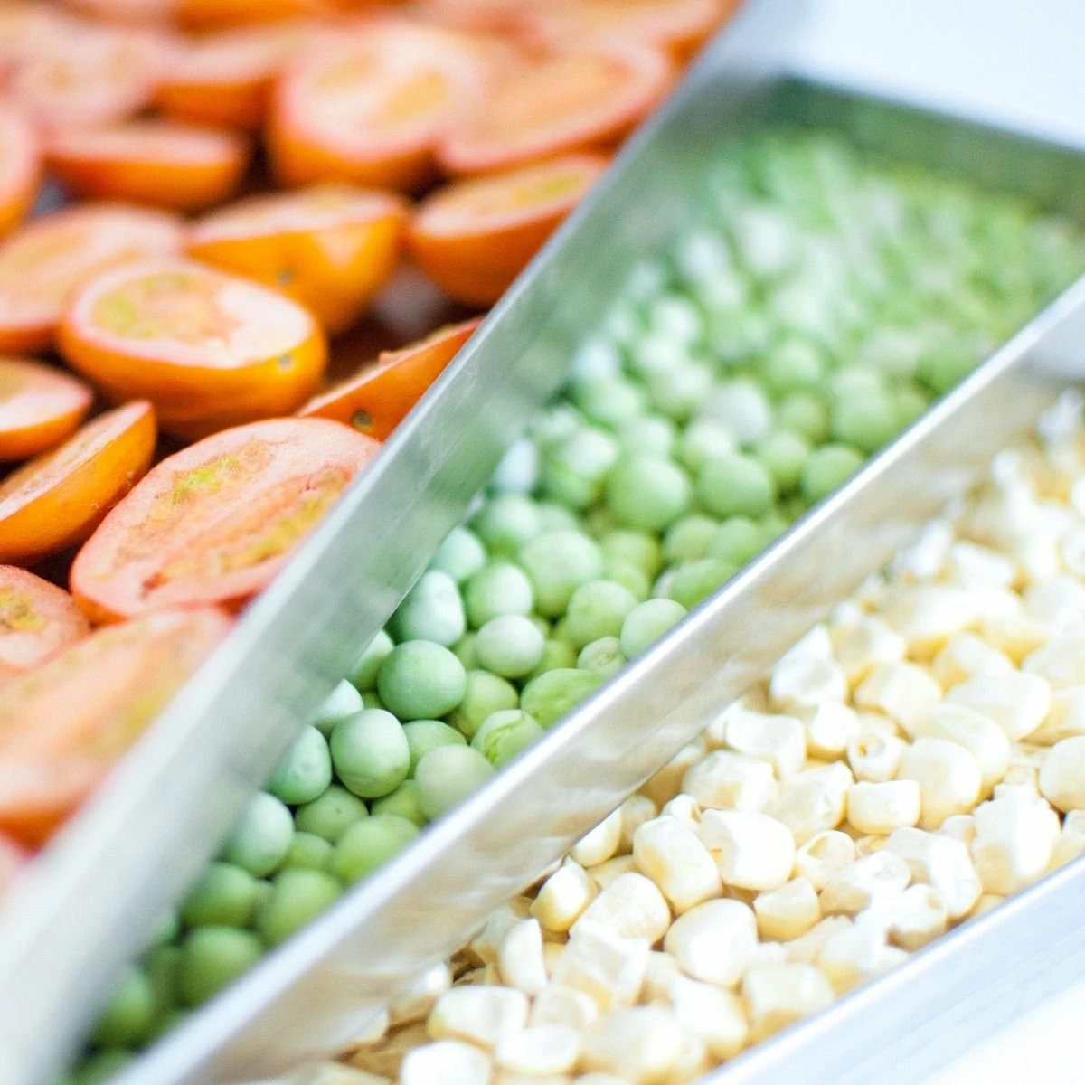 Harvest Right Large Size Home Freeze Dryer | Satin White 5 Harvest Right Large Size Home Freeze Dryer | Satin White - Image 3