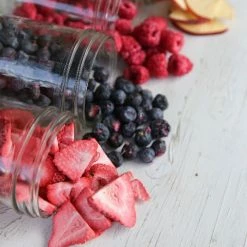 Harvest Right Medium Size Home Freeze Dryer | Stainless Steel -Coffee & Espresso Elegant store hrss3